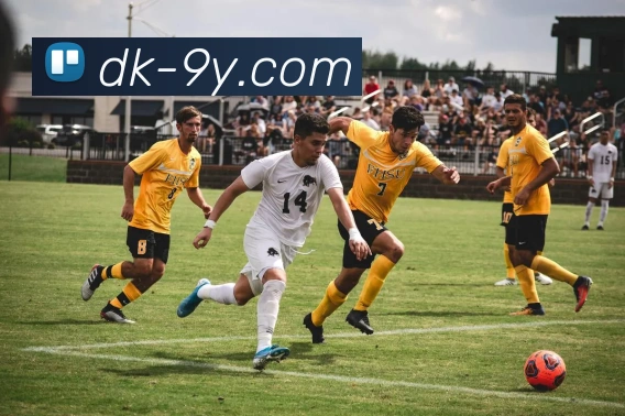 九游官网APP 封面图